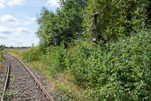 image060.jpg