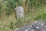 image061.jpg