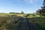 image202.jpg
