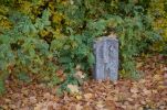 image018-small.jpg