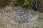 image021-small.jpg