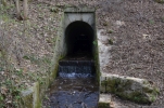 image012.jpg
