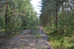 image007-small.jpg