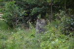 image018-small.jpg