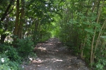 image024-small.jpg