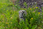 image034-small.jpg