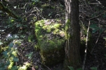 image008-small.jpg