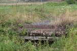 image020-small.jpg