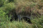 image044-small.jpg