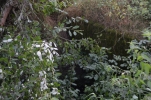 image051-small.jpg