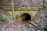 image122.jpg