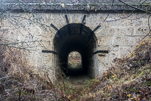 image124.jpg