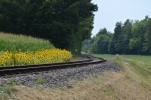image003.jpg