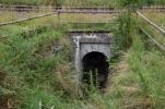 image110.jpg