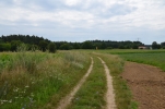 image406.jpg