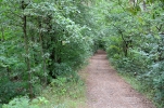 image408.jpg