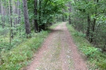 image409.jpg