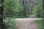 image410.jpg