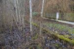 image014-small.jpg