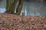 image031-small.jpg