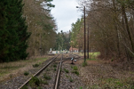image413.jpg