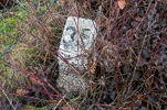 image418.jpg