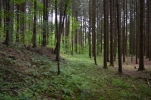 image302.jpg