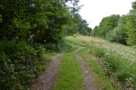 image304.jpg
