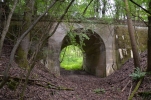 image306.jpg