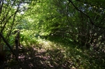 image069-small.jpg