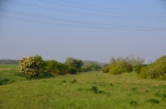image506.jpg