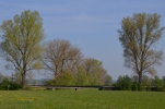 image006-small.jpg