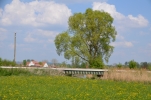 image007-small.jpg