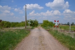 image101-small.jpg