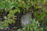 image078-small.jpg