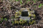 image008.jpg