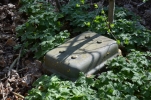 image009.jpg