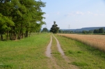 image033-small.jpg