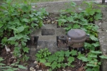 image062-small.jpg