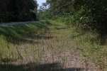 image004-small.jpg
