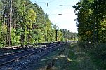 image004-small.jpg