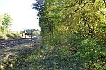 image006-small.jpg
