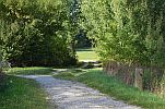 image013-small.jpg