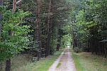 image019-small.jpg