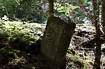 image020-small.jpg
