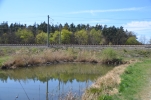 image001.jpg