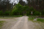 image011-small.jpg