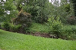 image016-small.jpg