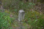 image041-small.jpg
