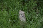 image052-small.jpg